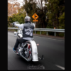 Aussie Viclas Premium Vest - Image 2